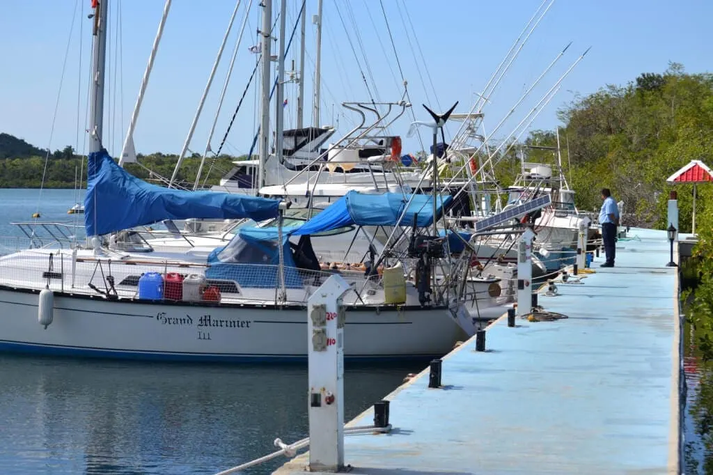 Row of sailing yachts moored at a marina dock with blue canvas covers and rigging visible, mangrove shoreline behind