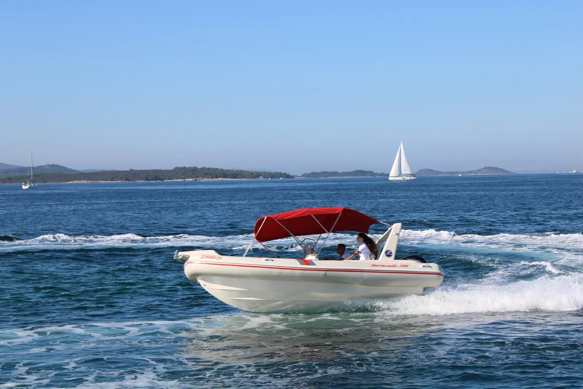 Barracuda 590 - 12